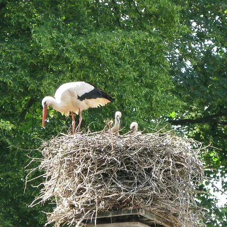 The Originals Boutique, Des Princes, Centre فندق ستراسبورغ